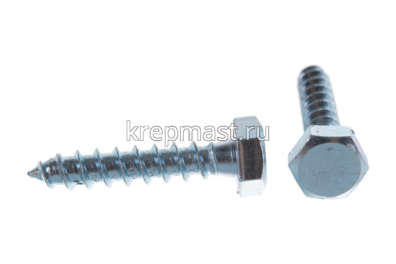 Шуруп 10мм (насадка магнитная 17мм)