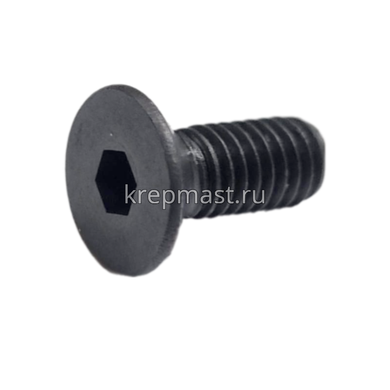 Винт с внут. шестиг. потай голов. 4х10 кл.пр.8,8 DIN 7991 черный