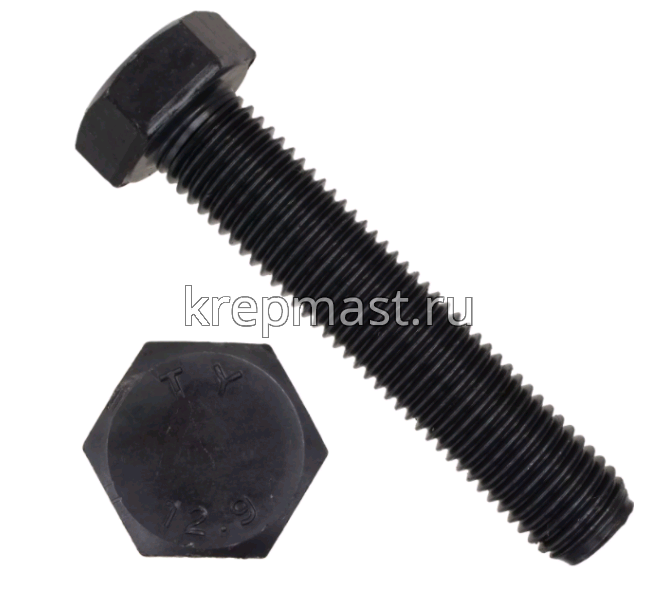 Болт 24х 70 кл.пр.12,9 черный п/р DIN 933