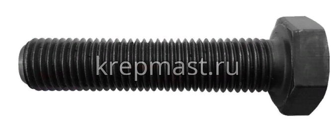 Болт 14х170 кл.пр.10,9 черный п/р DIN 933